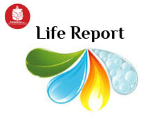 life report